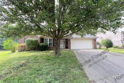 Click to learn more about this rental...