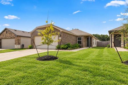 Click to learn more about this rental...